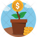 پیش‌نمایش فایل money-plant-14823907 از پک ترکیبی