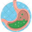 پیش‌نمایش فایل stomach-14823935 از پک ترکیبی