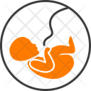پیش‌نمایش فایل fetus-15736189 از پک پزشکی - مجموعه 1