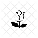 پیش‌نمایش فایل flower-16049513 از پک ترکیبی