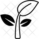 پیش‌نمایش فایل leaf-16058172 از پک اکولوژی