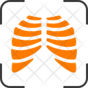 پیش‌نمایش فایل organ-16448806 از پک علم