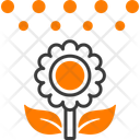 پیش‌نمایش فایل flower-16450109 از پک آب و هوا