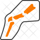 پیش‌نمایش فایل broken-leg-16457960 از پک پزشکی