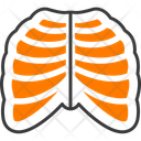 پیش‌نمایش فایل radiology-16458167 از پک پزشکی