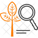 پیش‌نمایش فایل botany-16914314 از پک ترکیبی - مجموعه 4