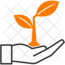 پیش‌نمایش فایل growth-16914907 از پک ترکیبی - نسخه 14