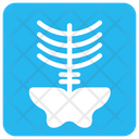 پیش‌نمایش فایل x-ray-9246578 از پک عناصر سلامت پزشکی