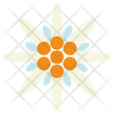 پیش‌نمایش فایل edelweiss-flower-9317226 از پک اکتبرفست