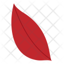 پیش‌نمایش فایل leaf-634 از پک پاییز