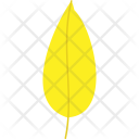 پیش‌نمایش فایل leaf-636 از پک پاییز