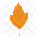 پیش‌نمایش فایل leaf-638 از پک پاییز