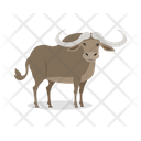 پیش‌نمایش فایل african-buffalo-9840240 از پک حیوان