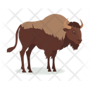 پیش‌نمایش فایل american-bison-9840203 از پک حیوان