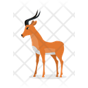 پیش‌نمایش فایل antelope-9840206 از پک حیوان