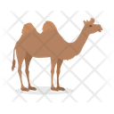 پیش‌نمایش فایل bactrian-camel-9840239 از پک حیوان