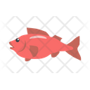 پیش‌نمایش فایل fish-9840188 از پک حیوان