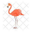 پیش‌نمایش فایل flamingo-9840225 از پک حیوان