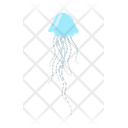 پیش‌نمایش فایل jellyfish-9840190 از پک حیوان