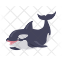 پیش‌نمایش فایل killer-whale-9840186 از پک حیوان