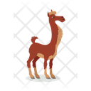 پیش‌نمایش فایل llama-9840233 از پک حیوان