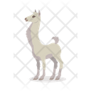پیش‌نمایش فایل llama-9840237 از پک حیوان