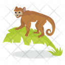 پیش‌نمایش فایل monkey-9840218 از پک حیوان