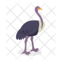 پیش‌نمایش فایل ostrich-9840213 از پک حیوان