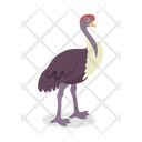 پیش‌نمایش فایل ostrich-9840229 از پک حیوان