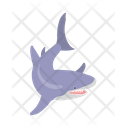پیش‌نمایش فایل shark-9840185 از پک حیوان