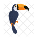 پیش‌نمایش فایل toucan-9840231 از پک حیوان