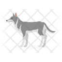 پیش‌نمایش فایل wolf-9840196 از پک حیوان