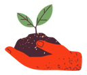 پیش‌نمایش فایل hand-holding-green-sprout-plant-5226442 از پک دست‌های رنگارنگ