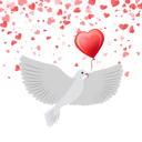 پیش‌نمایش فایل dove-with-balloon-5642242 از پک عشق