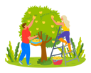 پیش‌نمایش فایل couple-harvesting-apple-from-farm-8707303 از پک مردم کشاورز