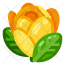 پیش‌نمایش فایل flower-1572 از پک مزرعه