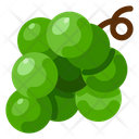 پیش‌نمایش فایل grape-52 از پک مزرعه