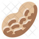 پیش‌نمایش فایل peanut-67 از پک مزرعه