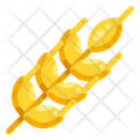 پیش‌نمایش فایل wheat-230 از پک مزرعه