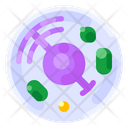 پیش‌نمایش فایل biology-102 از پک آموزش
