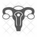 پیش‌نمایش فایل uterus-4842753 از پک لقاح آزمایشگاهی