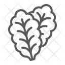 پیش‌نمایش فایل lettuce-leaf-1 از پک میوه و سبزیجات، آیکن‌های خطی