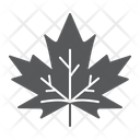 پیش‌نمایش فایل maple-9781048 از پک روز شکرگزاری