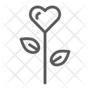 پیش‌نمایش فایل flower-1455582 از پک ولنتاین