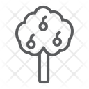 پیش‌نمایش فایل apple-tree-1530227 از پک مزرعه