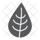 پیش‌نمایش فایل leaf-1530150 از پک اکولوژی