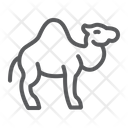 پیش‌نمایش فایل camel-1583397 از پک رمضان