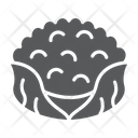 پیش‌نمایش فایل cauliflower-1945133 از پک میوه