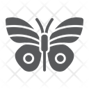 پیش‌نمایش فایل butterfly-2053114 از پک عید پاک