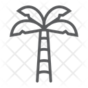 پیش‌نمایش فایل palm-tree-2476140 از پک تابستان